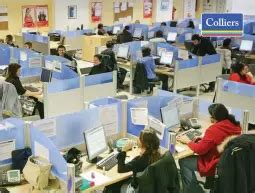 Colliers ranks top 5 biggest IT.